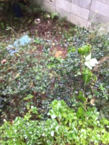 ふじみ野市上福岡にて遺品整理をご依頼